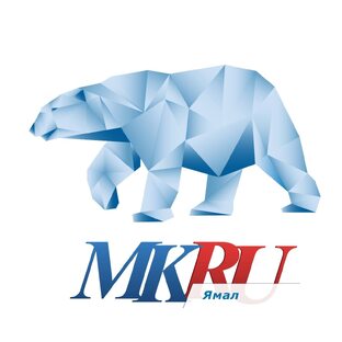 Дзен МК Ямал статистика