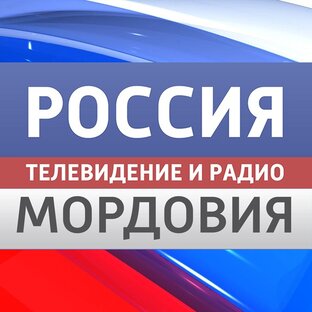 Дзен ГТРК Мордовия статистика