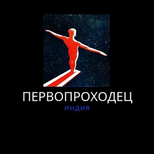 Дзен ПЕРВОПРОХОДЕЦ статистика