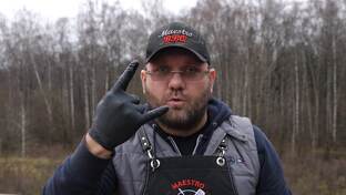 Статистика Дзен Maestro BBQ