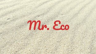 Дзен Mr. Eco статистика