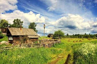 Дзен В ДЕРЕВНЮ НА ПЕНСИЮ статистика