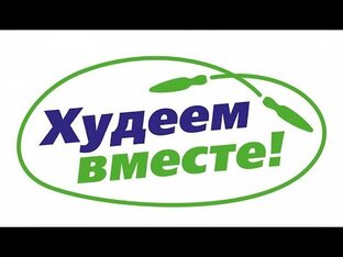 Дзен Худеем статистика