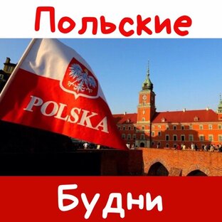 Дзен Польские Будни статистика