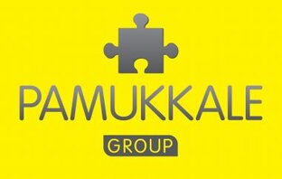 Дзен PAMUKKALE GROUP статистика