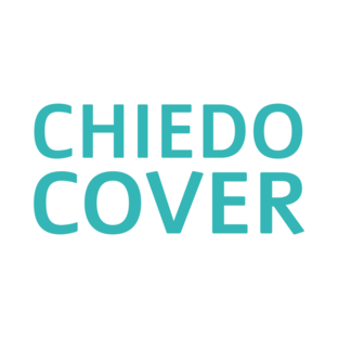Статистика Дзен ChiedoCover
