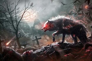 Дзен мистика всегда рядом статистика