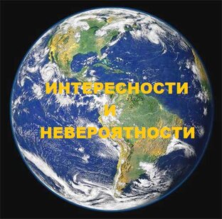 Дзен Интересности и невероятности статистика