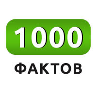 1000 фактов