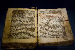 Дзен История нашего мира 2.0 статистика