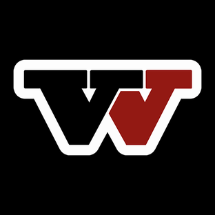 Статистика Дзен WINDIGO