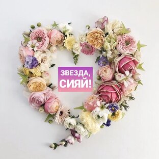 Дзен Звёзда, сияй! статистика