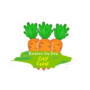 Дзен Городская Флора | City Farm статистика