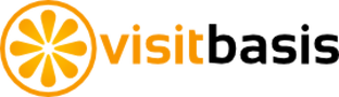 Статистика Дзен VisitBasis