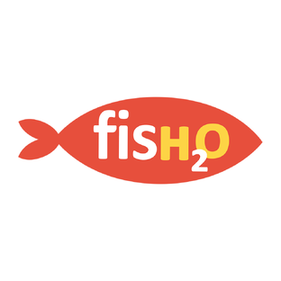 Статистика яндекс дзен fish2o | производитель премиум лосося