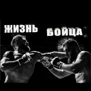 Дзен Жизнь Бойца статистика