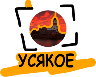 Статистика Дзен ВЫБОРГ LIVE