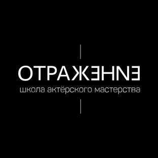 Статистика Дзен Школа актёрского мастерства "Отражение"