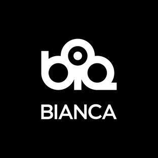 Статистика Дзен Химчистка BIANCA