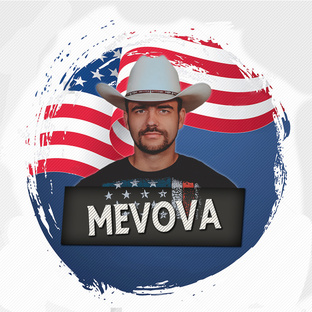 Статистика Дзен MeVova