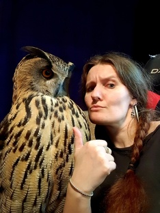 Дзен Филин Ёль & Ko.фе с совой Yoll статистика