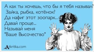 Статистика Дзен Учитель в бизнесе