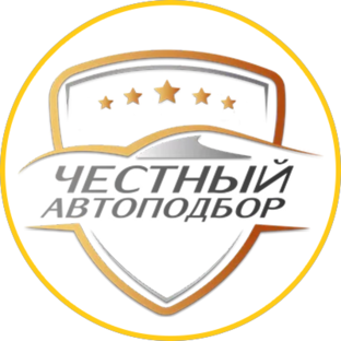 Статистика Дзен Честный Автоподбор
