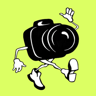 Статистика Дзен Фотопутешествия
