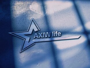 Статистика Дзен Axiwlife