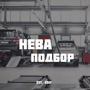 Статистика Дзен Нева Авто
