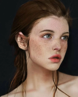 Дзен Камилла статистика