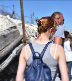Статистика Дзен Музейные наблюдения