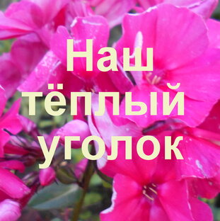 Статистика Дзен Наш теплый уголок