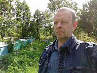 Статистика Дзен Личный опыт Якимова Андрея
