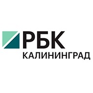 Статистика Дзен РБК Калининград