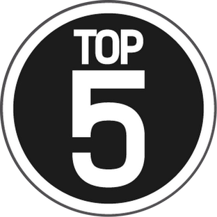 Дзен Топ 5 статистика