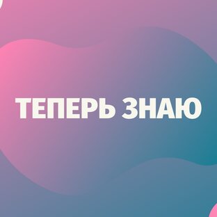 Дзен o_lesya статистика