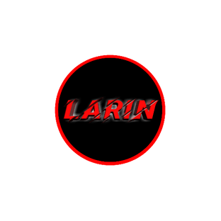 Дзен Larin статистика