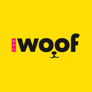 Дзен The WOOF статистика