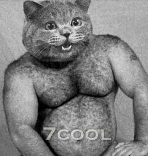 Статистика Дзен 7cool
