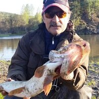 Статистика Дзен 101 рыбалка Станислав Кухта