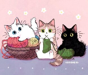 Статистика Дзен ТриКошки🥰