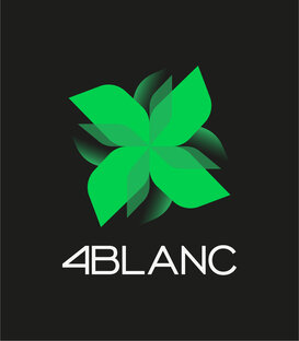 Статистика Дзен 4BLANC