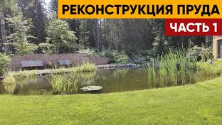 Статистика Дзен Сергей Водоёмов. Все о строительстве прудов.