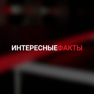 Дзен Интересные факты  статистика