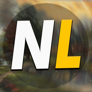 Статистика Дзен NikoLife