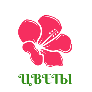 Тг канал цветы. Цветы картинки. Crosty logo. Тг канал цветы. Логотип телеканала с цветочком.