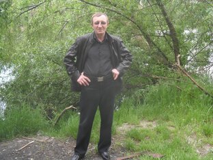Статистика Дзен Music of Love