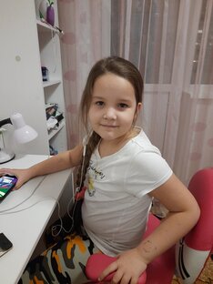 Статистика Дзен Амина Хирс