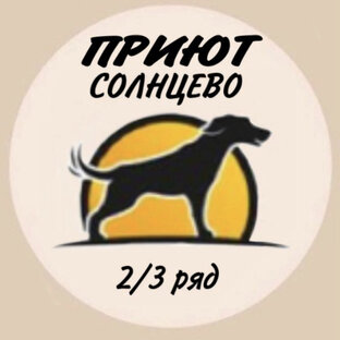 Статистика Дзен Жизнь 2 и 3 ряда приюта Солнцево